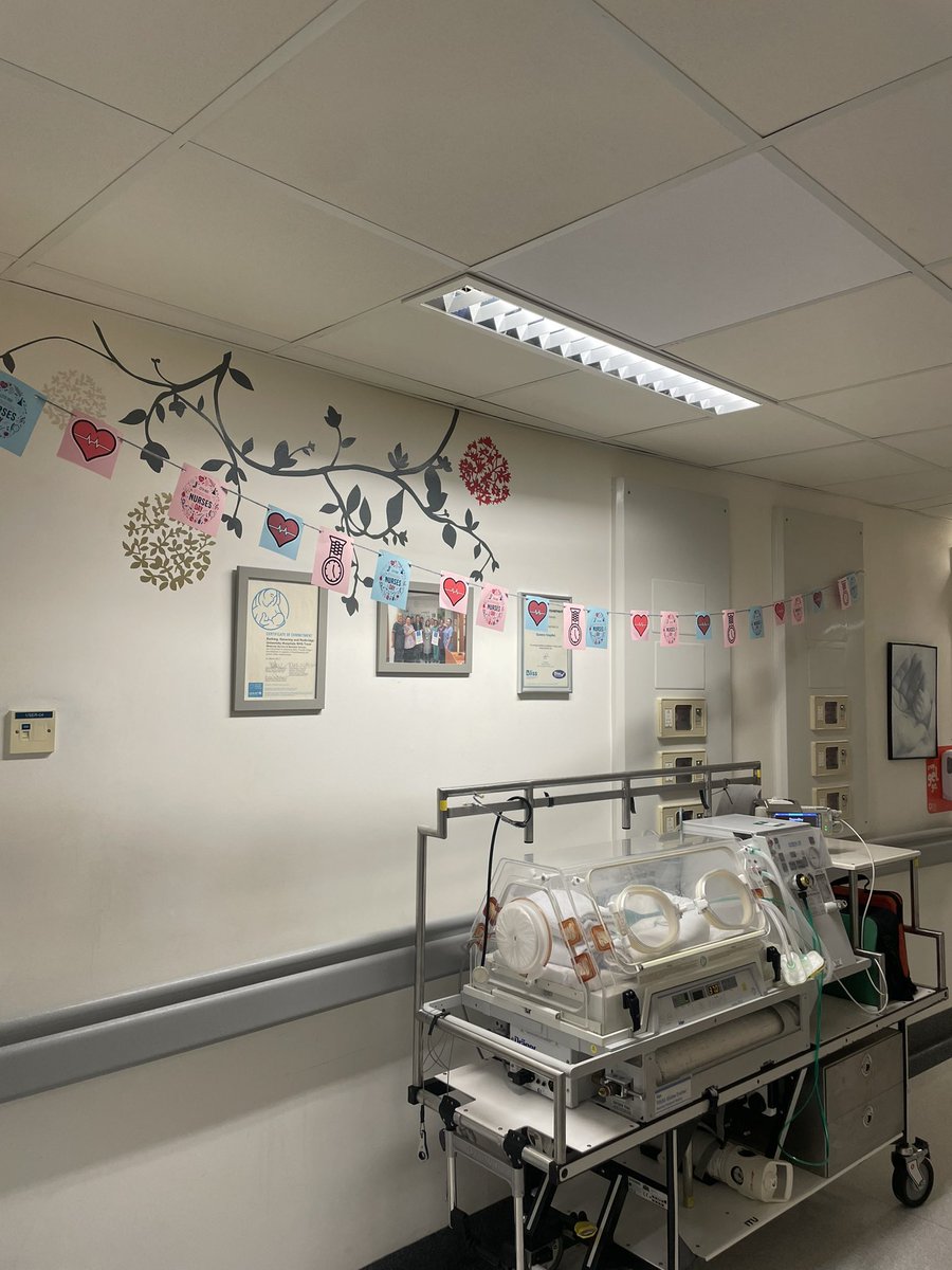 Happy international nurses day to our hard working nursing team 💕 we appreciate everything you do for our NICU! 👩‍⚕️
