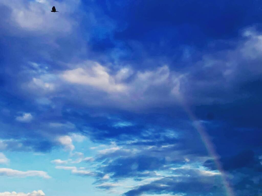 darknetstories's tweet photo. My tired eyes do not sleep in the wake of beauty. God is the artist of all artist.

#rainbowMy tired eyes do not sleep in the wake of beauty. God is the artist of all artist.

#rainbow https://t.co/4sJaXXXKaR