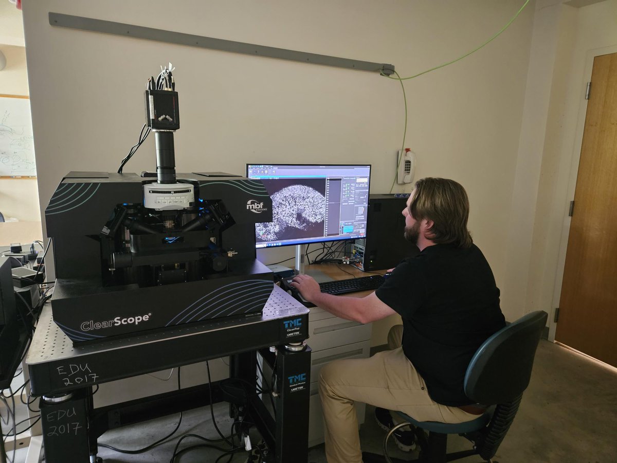 MBFBioscience's tweet photo. Come see us at #LSFM2023!
We want to connect with you about your research show what #ClearScope our light sheet theta microscope, can do 🔬
#neuroscience #lightsheet #microscopy #MBFally https://t.co/MIKSeF4Mmr