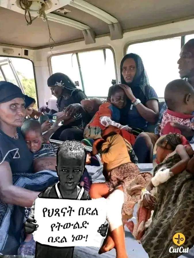 HayuAfar's tweet photo. The worst situation is when the #Afar people save the whole of Ethiopia from the junta invasion, the reward is that their #Children are the cause of death in the region #UXO  they don't deserve to die from war mines.  When their father sacrificed his life for the country https://t.co/mDGGE33KlV