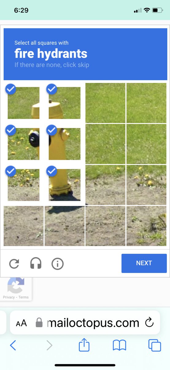 ellen loudon tweet media