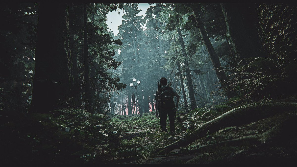 Virtual_Derp's tweet photo. THE LAST OF US PART II https://t.co/wdTRUbKMUN