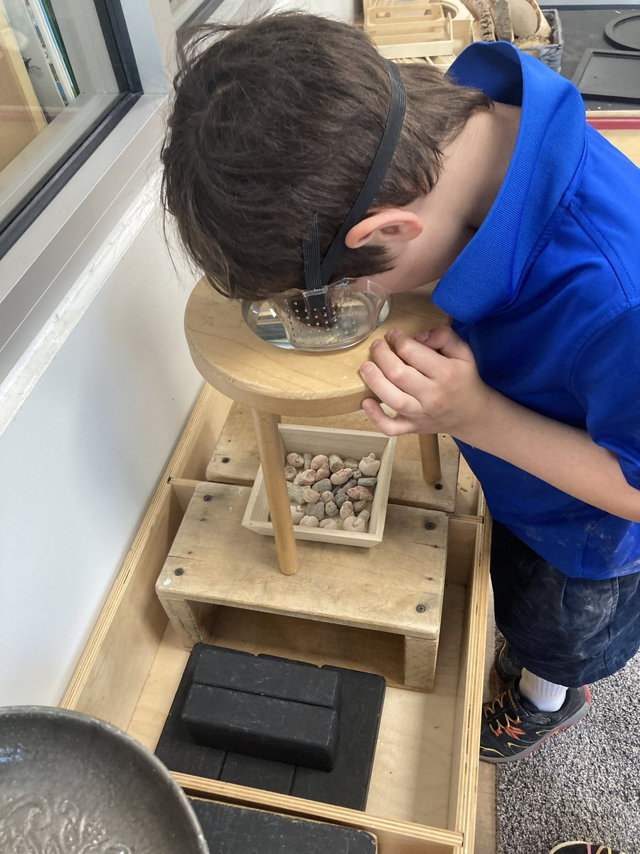 ICSEagles's tweet photo. Dino Day! PK has been learning about dinosaurs through fossils &amp; poetry. Our budding paleontologists spent the morning at our on-campus archeological dig site, excavating Dino eggs, creating a Dino fun fact display, and examining real fossils under the microscope.  🦕🦖 #icsstem https://t.co/NygmsOo9Hp