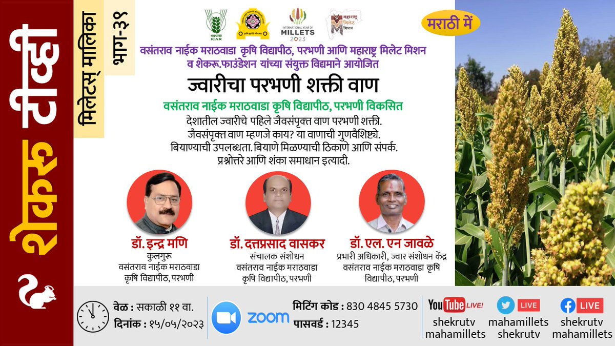 shekruTV's tweet photo. #मिलेटस् मालिका(भाग-३९):ज्वारीचा #परभणी #शक्ती #वाण 
 १५/५ सकाळी ११
#Millet Series(Part-39):#Jowar #ParbhaniShakti Variety 
Dr.Indra Mani,VC
Dr.Dattaprasad Vaskar,Dir Research
Dr.L.N.Jawle,InCharge,Sorghum Research Ctr 
15/5 11am #IYM2023 #Mahamillets #VNMKV https://t.co/nTTCmFhSvh