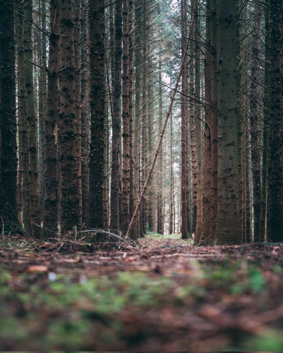 Lee Gale tweet media