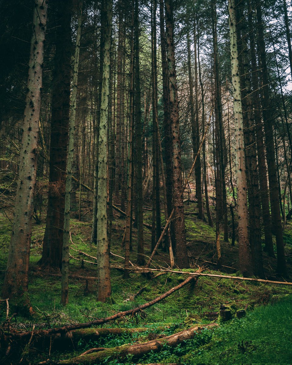 Lee Gale tweet media