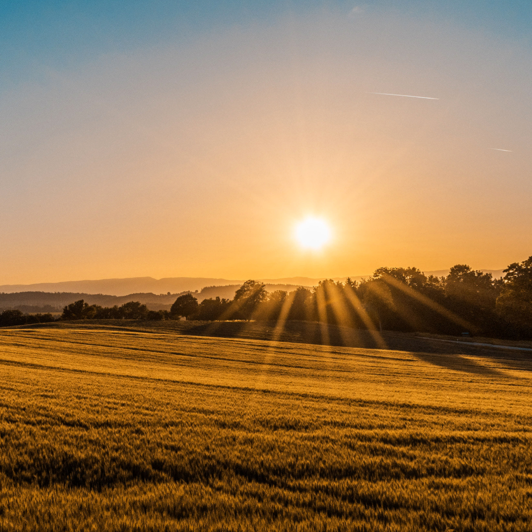 🌞 Although we aren’t expecting the criteria for an extreme heat emergency this weekend, it's now the warmer season. 

🕶️ Enjoy sunnier weather while taking precautions against overheating.

Heat safety - Island Heath: ow.ly/RBLU50OmRS2
Alterable: ow.ly/3z6S50OmRXA