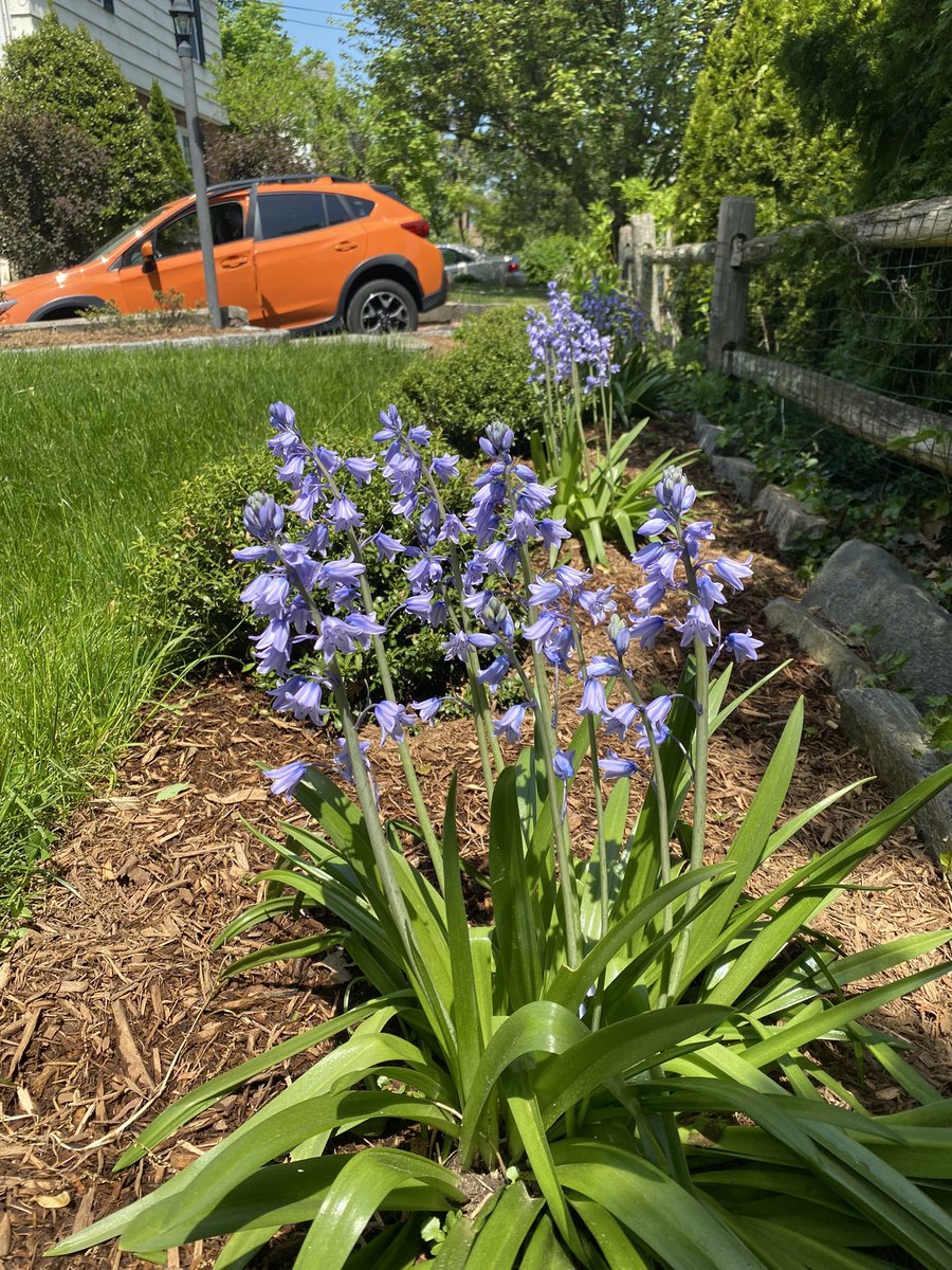 compost maven tweet media