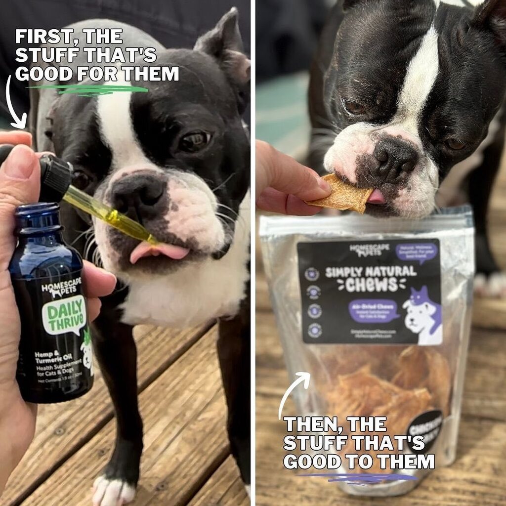 🥳Make supplement time a good time. 

Start with the drops, end with the treats. 🐶

#pethealth #petnutrition #limitedingredients #homescapepets instagr.am/p/CsJrohCOB20/