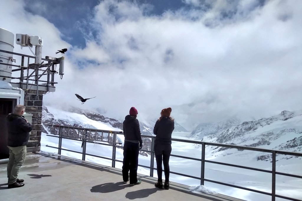 BOsterath's tweet photo. On the roof terrace of Sphinx observatory at Jungfraujoch. https://t.co/yogQqrGyha