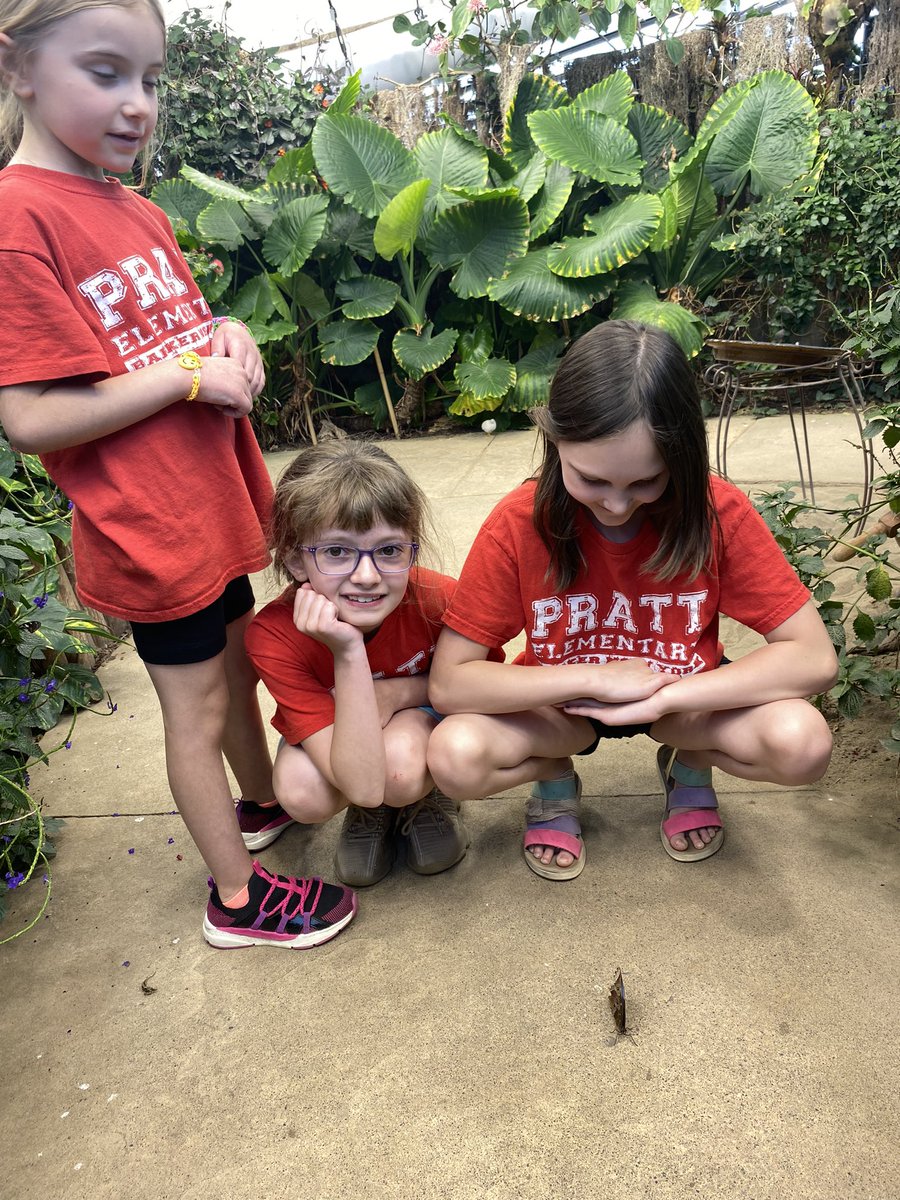 TaboneClassroom's tweet photo. The Strong Museum of Play Field Trip #barkercsd https://t.co/rLjGCqqeBp