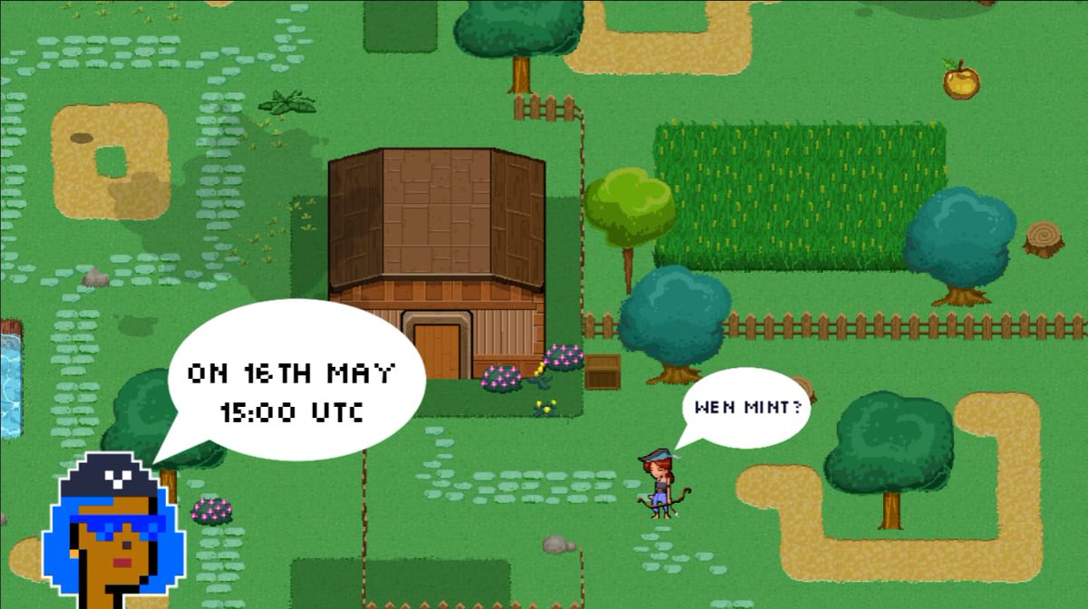 Sui Punk Girls | MAY 16 💧 tweet media