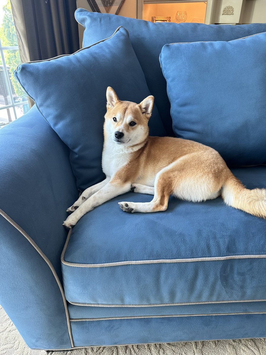 Everyone meet my nephew, Yoshi. 💚