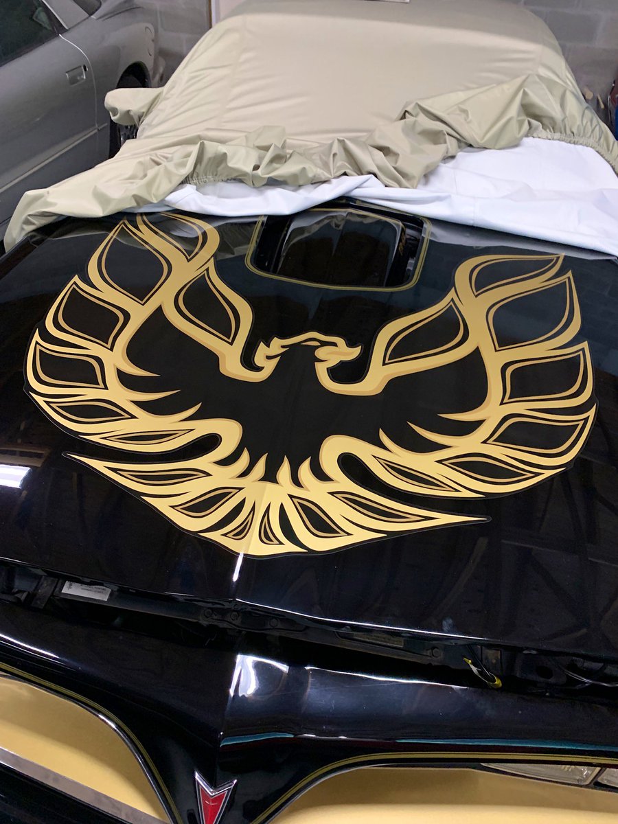 FloridaTransAM's tweet image. How many use a car cover ?