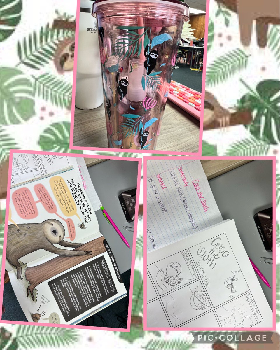 Katie Fogle tweet media