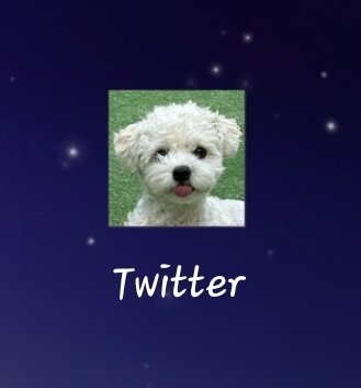 no but twitter logo with seol...