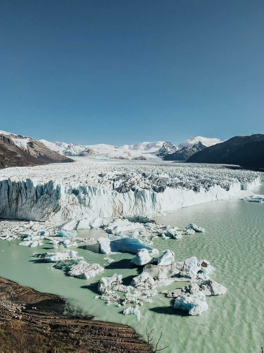 Amaia Giralt tweet media