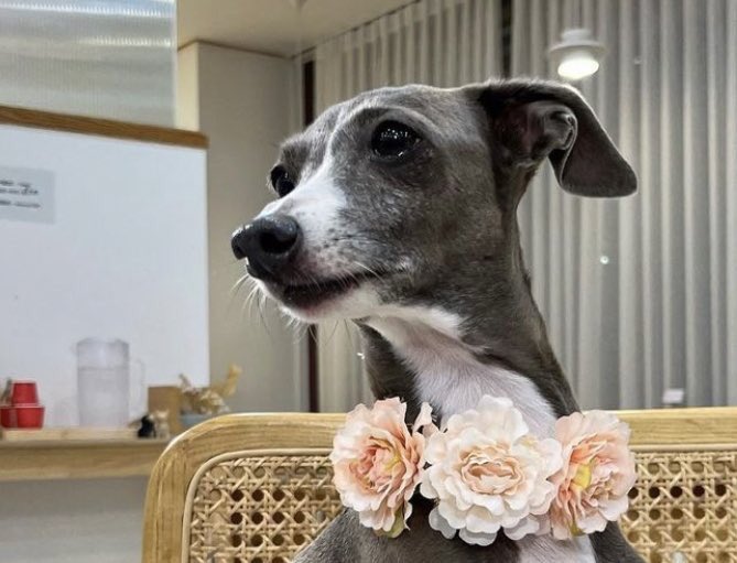 그릴건 그리고 자야지🥲
굿밤요🐥

#오뜨 #후니 #maetamong #hoony #amieeart #amieenftart #amieeartist #