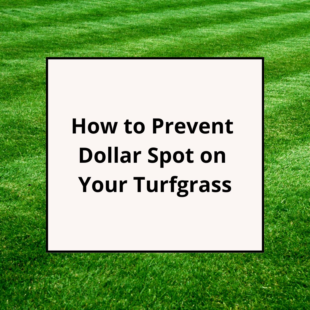 Earth Microbial tweet media