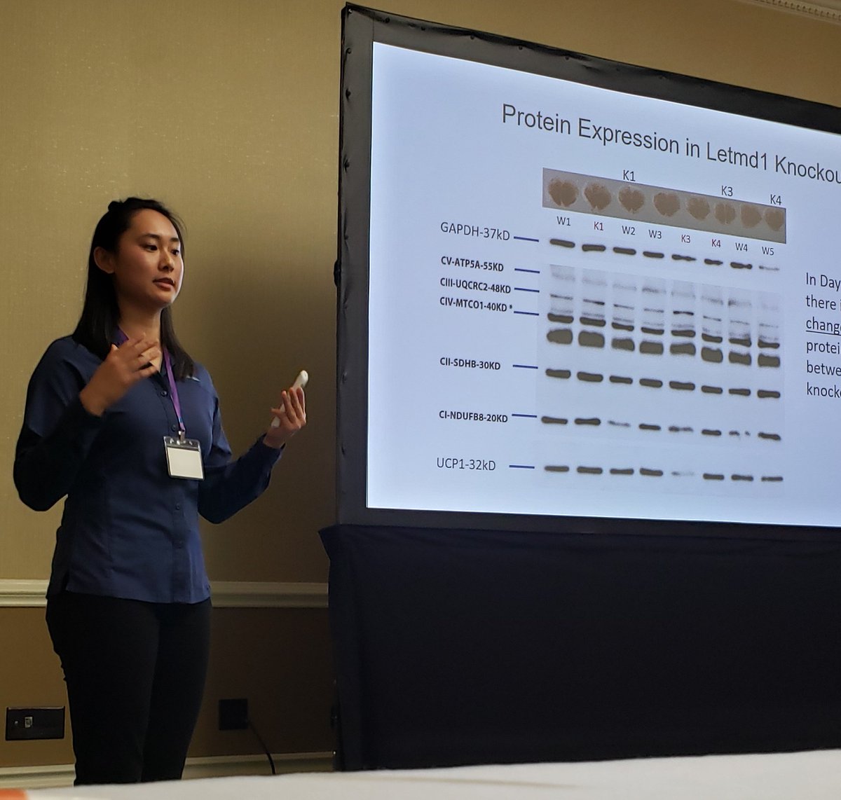 Animal Molecular & Cellular Biology tweet media