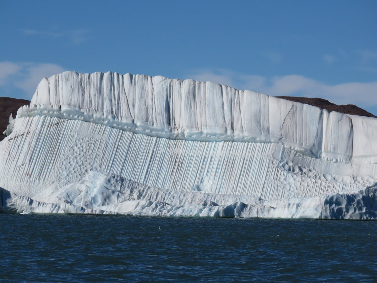 Always a privilege to work in these spectacular polar landscapes whilst trying not to disturb the local wildlife