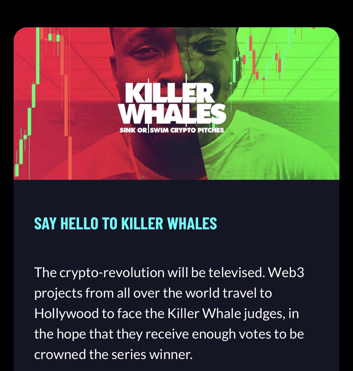 ClumsyBearsNFT's tweet photo. We have applied to pitch in front of millions of home viewers on the world‘s first Web3 TV show #KillerWhalesTV by @thehellolabs
 RT this to show the strength of our community! https://t.co/h4Ge1BEwwm