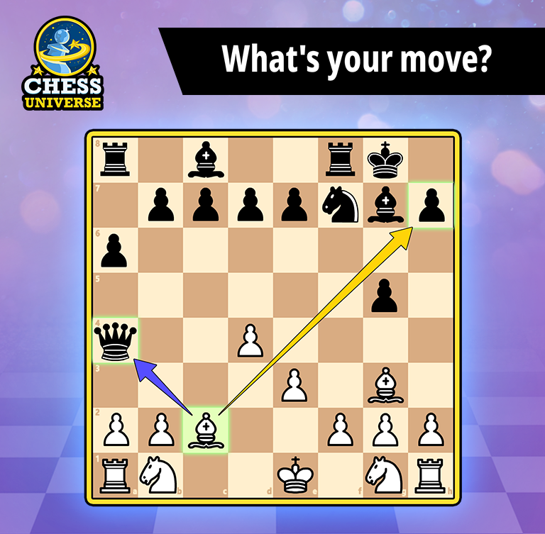 Chess Universe - clube de xadrez 