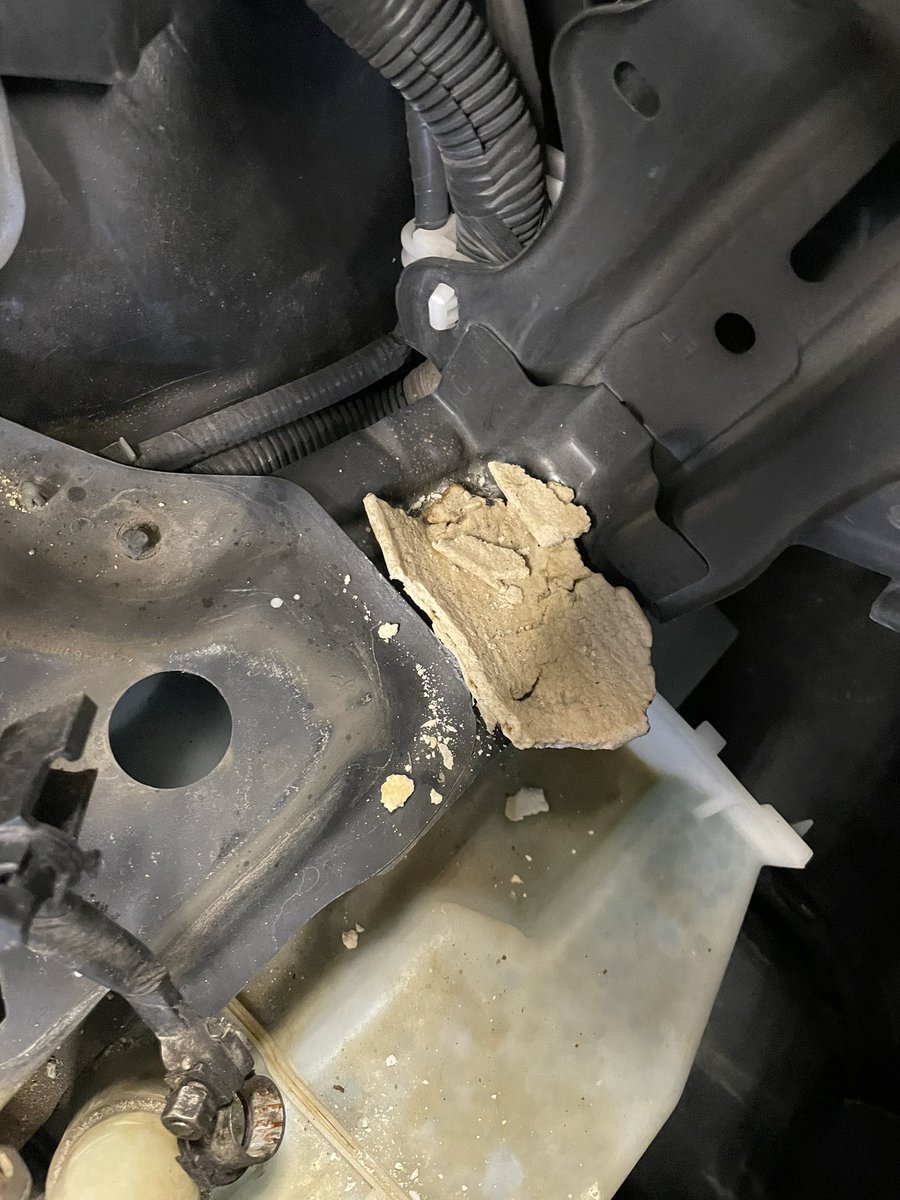 Amazed &amp; grateful! Mr. Potvin <a href="/potvingprxp/">Paul Potvin</a> and his Autos students performed a complete engine swap on my Subaru Forester. As a bonus, he left a Pop-Tart in the engine bay in case I ever breakdown and need a snack. #LeydenPride