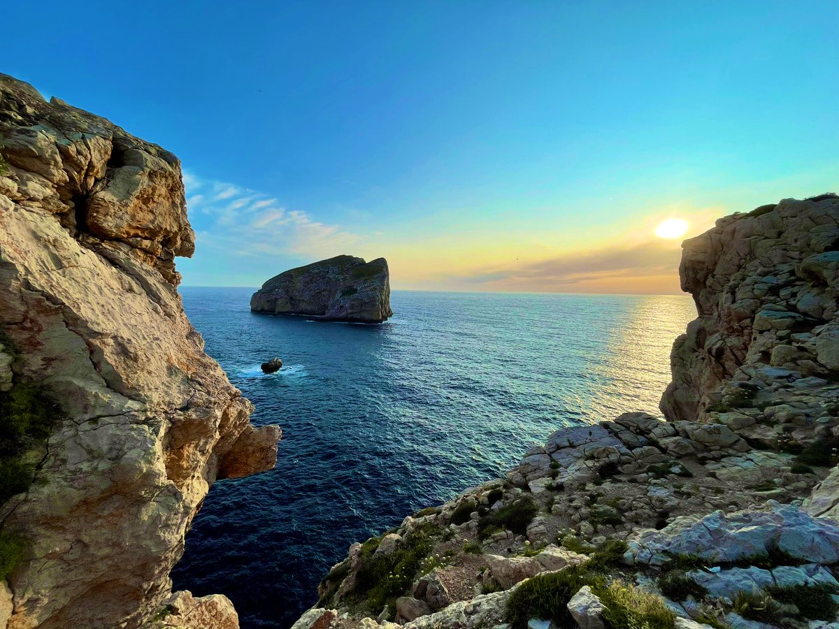 fairydellaluna's tweet photo. Se non avessi sofferto di vertigini non avrei mai saputo come sarebbe stato il brivido del volo libero
#foradada
#MyPic https://t.co/eugGrzTQZU