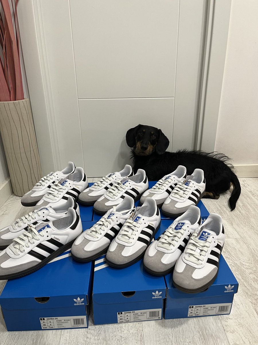 Ferferfer99's tweet photo. Good Friday my friends!
Snif snif snif they are legit! 
Guauf 🐶✅❤️
Thanks @thezestychefs for the suport https://t.co/9D1g7Q2KRm