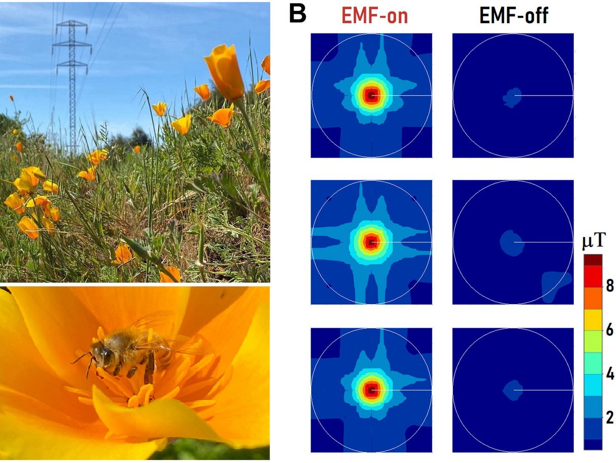 Science Magazine tweet media