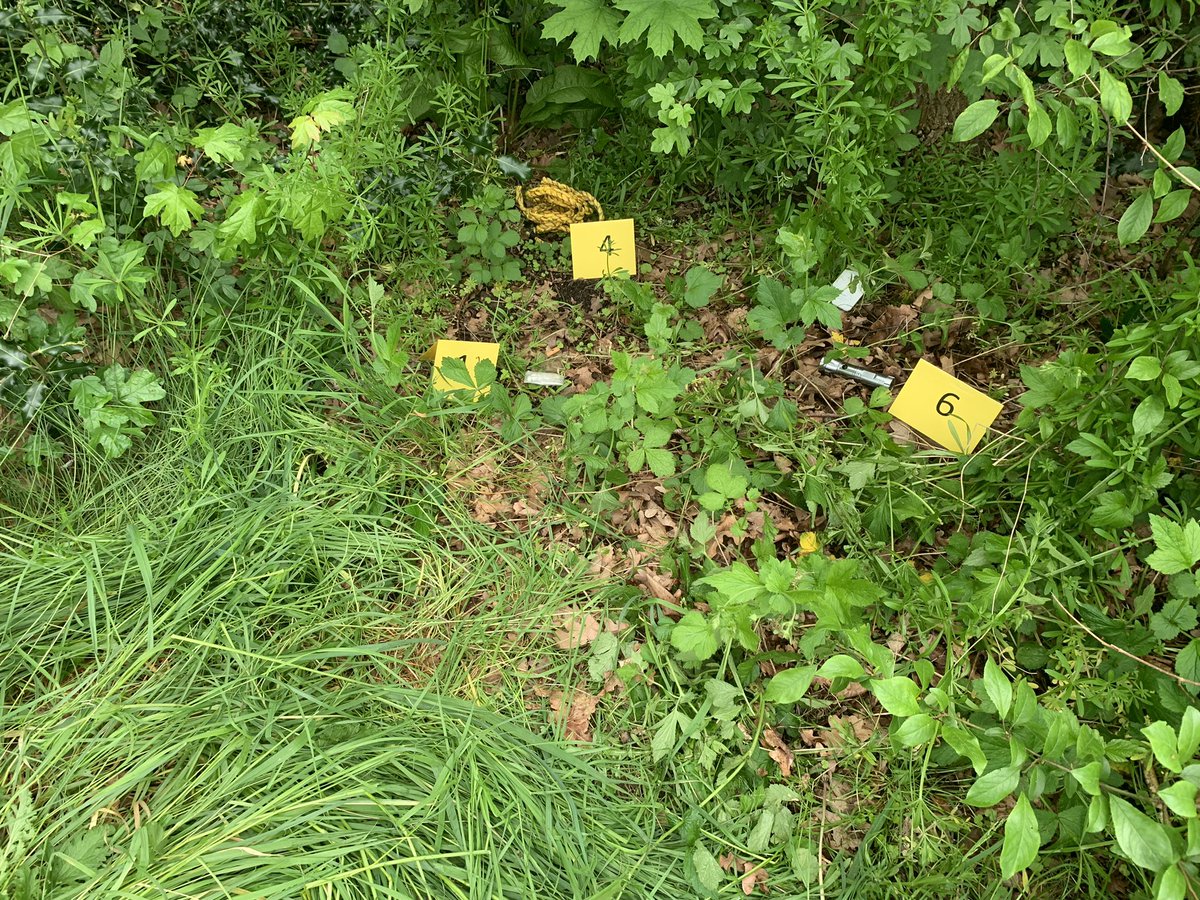 Loughborough College Public Services tweet media