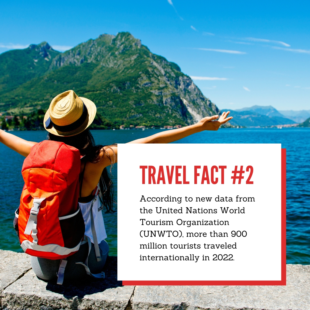 Don't Pack a Pest tweet media