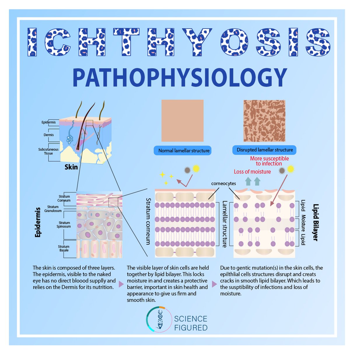 Science Figured tweet media