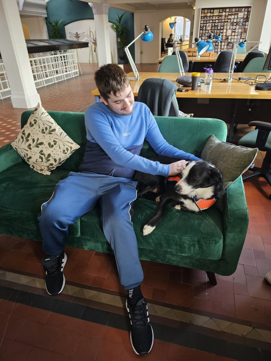 educ_research's tweet photo. Some months ago I decided a caring way to support my academic advisees was by organising a @McrMuseum #MeetMurray wellbeing session for my @EducationUoM students! It worked a treat! Thx so much Karen &amp; Murray for cuddles, walks &amp; creative collection activities! #edchat https://t.co/mzOPqxPHmK