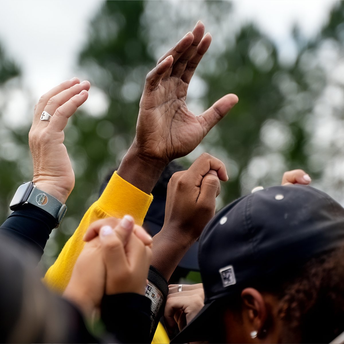 BCUsoftball's tweet photo. 𝐏𝐑𝐄𝐘 𝐓𝐎𝐆𝐄𝐓𝐇𝐄𝐑.

Wildcat Nation, thank you for another incredible season. We could not do it without your support.

#𝙇𝙚𝙩𝙨𝙂𝙤 | #𝙃𝙖𝙞𝙡𝙒𝙞𝙡𝙙𝙘𝙖𝙩𝙨 | #𝙋𝙧𝙚𝙮𝙏𝙤𝙜𝙚𝙩𝙝𝙚𝙧 https://t.co/I9Z25FctoZ