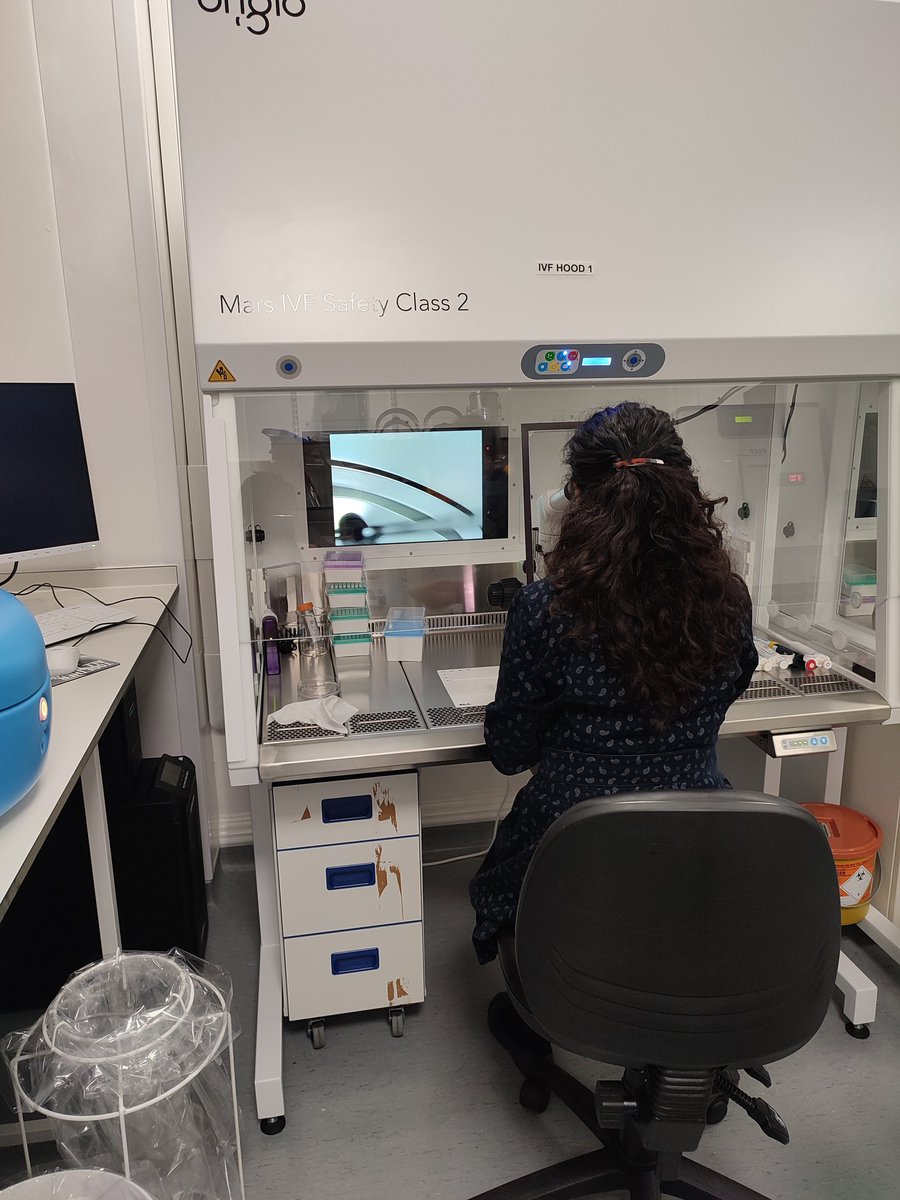 The director of our research centre examining some mouse embryos that have been incubating for a while in our well equipped state of the art embryology lab @Cambridge_Uni. We are the centre for excellence in Trophoblast research @CTR_Cambridge  
#femalescientist
#placenta