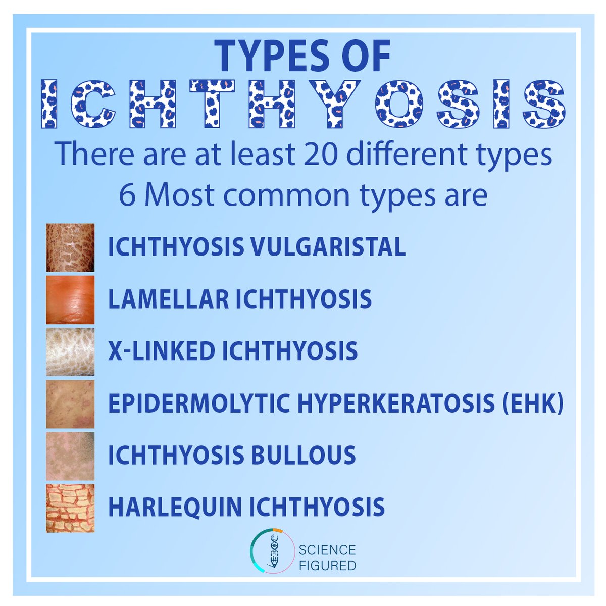 Science Figured tweet media