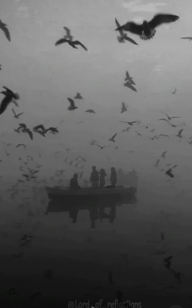 Silent Girl (@silent_night8) on Twitter photo 