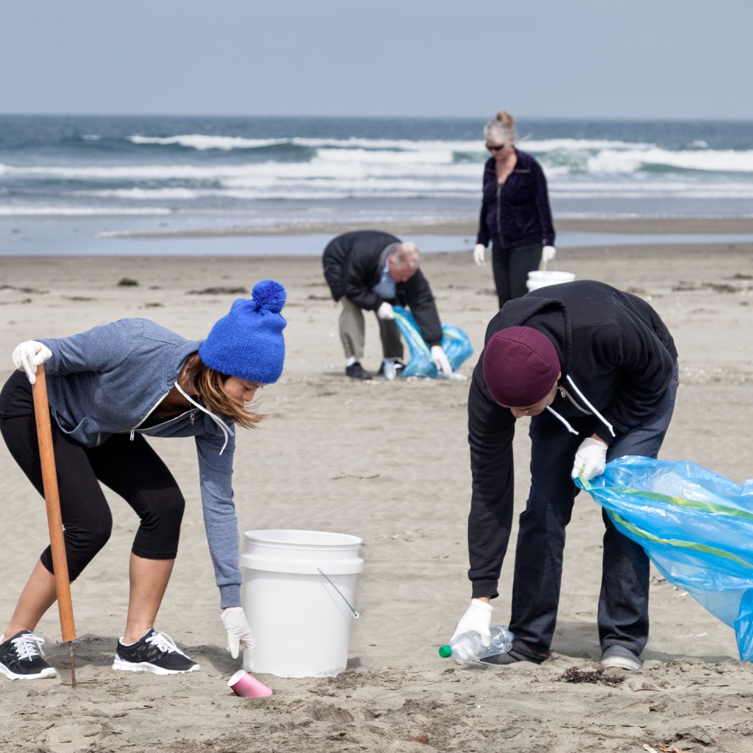 Bay City Brewing Co. tweet media