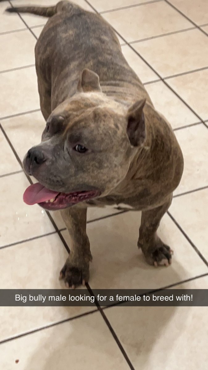 Robert Dee Gray III (@robertdgrayiii) on Twitter photo 