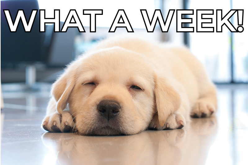 Happy Friday! Take a cue from this sleepy pup and take some time to recharge this weekend. Whether going for a walk or cuddling up with your furry friend, make time for the things that make you happy. 🐾❤️ #TGIF #WeekendVibes #RestAndRecharge