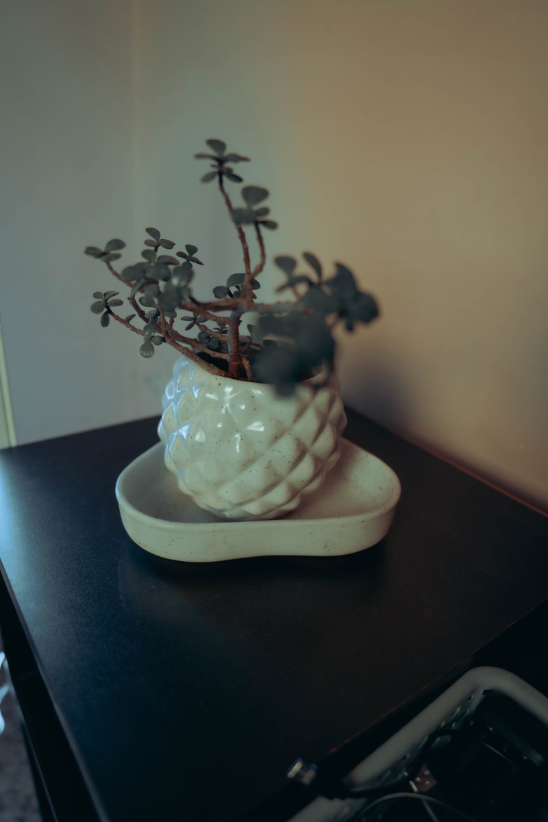 rainaabhinav8's tweet photo. All coming together for creating the best setup.
#desksetup #setup #deskgoals #setupinspiration #dreamsetup #workspace #minimalsetups #deskdecor #workstation #setups #homeoffice #setupwars #deskspace #battlestation #cleansetup #desk #workfromhome #designyourworkspace #bhfyp https://t.co/XfDsIiNOBw