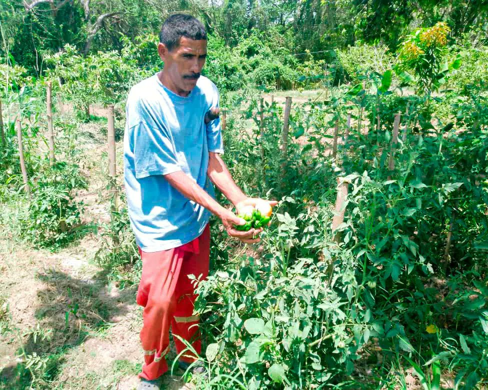 Basado en prácticas agroecológicas, intercambio de saberes y experiencias para el rescate de semillas, Duarte explicó la producción de abonos orgánicos como son los bioles, bioinsumos y bocashi, para su complementación como prácticas de fertilización y enmienda de suelos