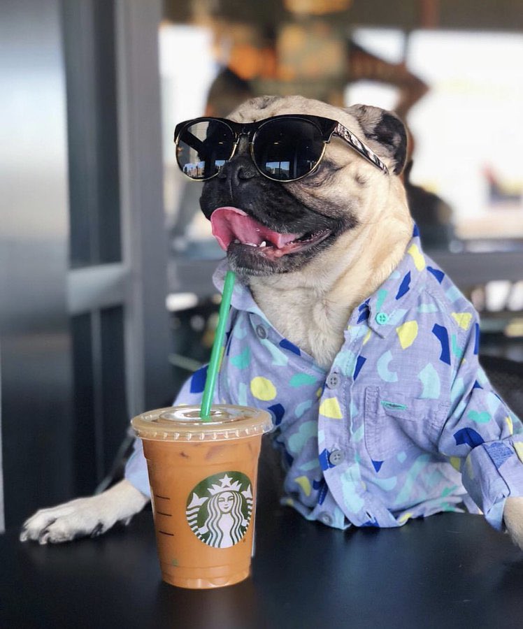 Ahhh YES Coffee! The Most Important Meal of the Day!