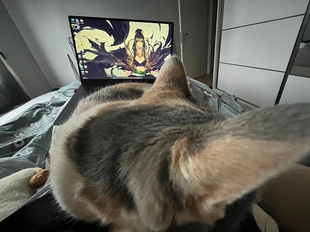 kisarase's tweet photo. POV: https://t.co/S5Exvoy51F
