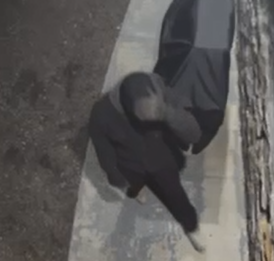 Saint John Police tweet media