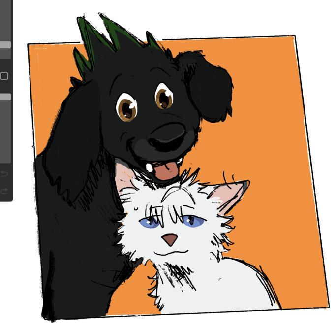 emdrawscats's tweet photo. i like them https://t.co/OUYrBsaJkE