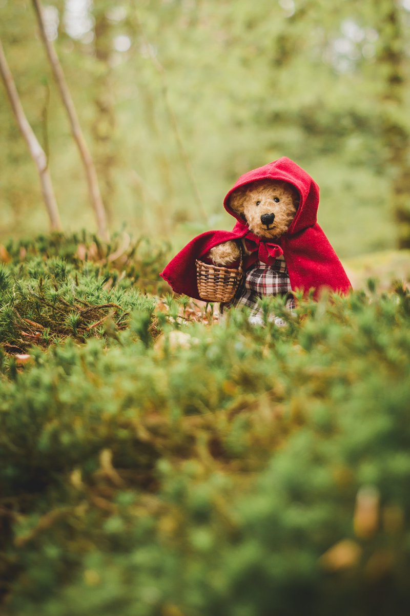 I’m Little Red Riding Hood and I’m walking through the forest.🌲♥️ #rotkäppchen #littleredridinghood #märchen #fairytale #sprookje #forest #märchenwald