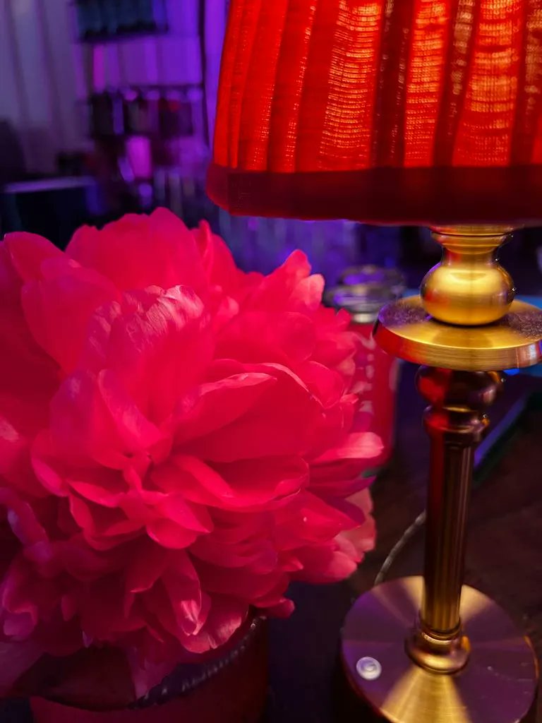 pouletvoulez's tweet image. The perfect spot for a date night, or to spend time with friends.

We're ready to welcome you:
Thursday &amp;amp; Friday 5-11pm | Saturday 12-11pm | Sunday 12-6pm 

07539 142389
info@poulet.biz 

.
.
.

#londongram #mydarlinglondon #londoncalling #foodiesofinsta #foodblogfeed